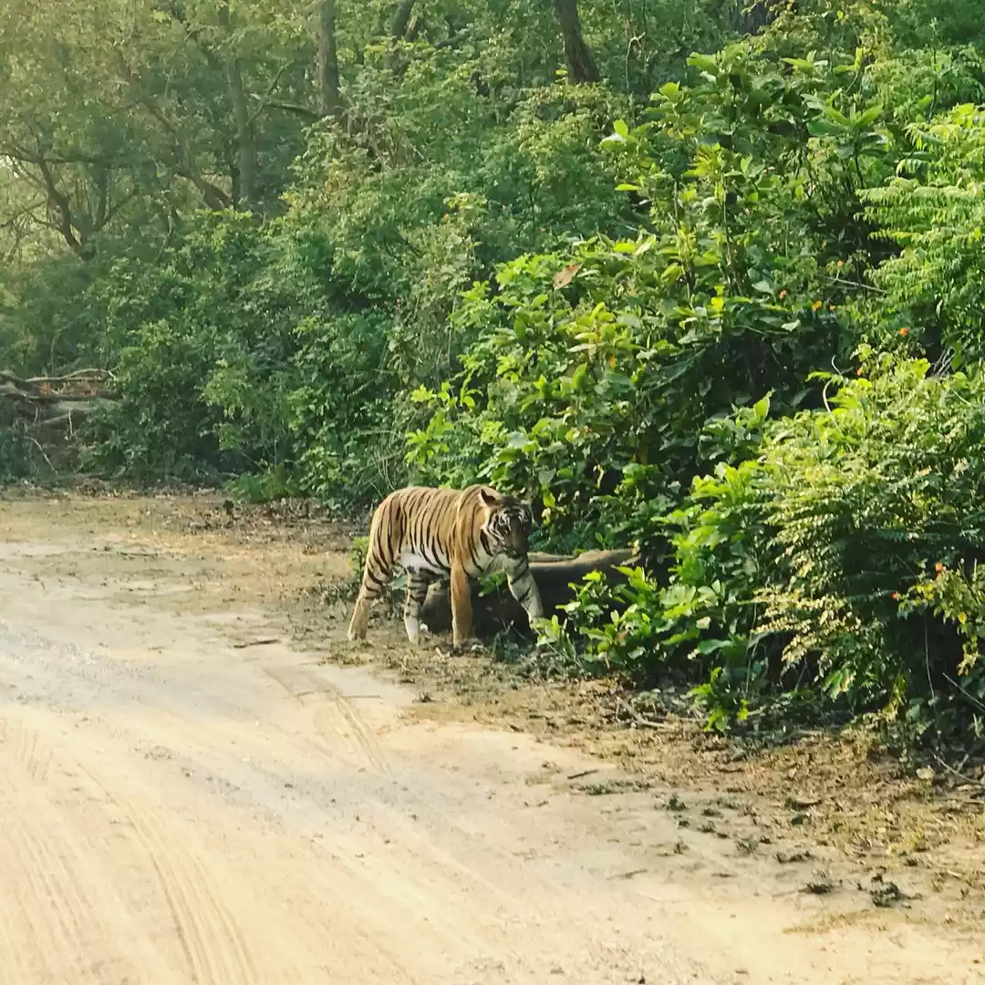 Photo of One Day in Jim Corbe