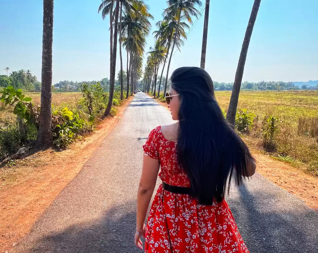 Photo of Famous Bollywood Sho