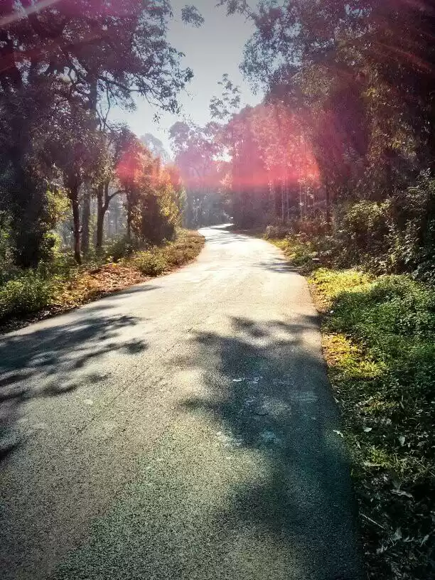 Photo of Roadtrip to Kerala a