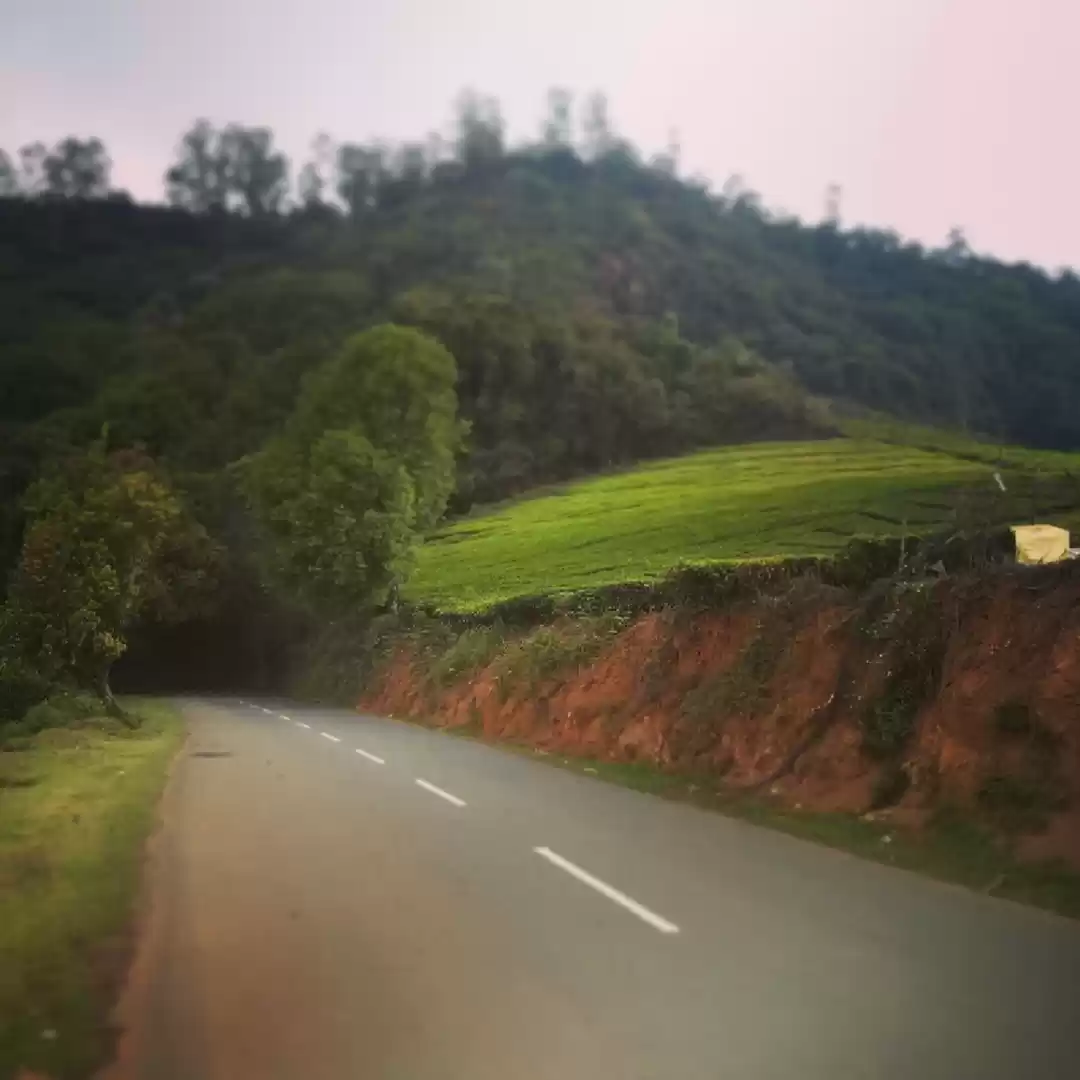 Photo of Roadtrip to Ooty