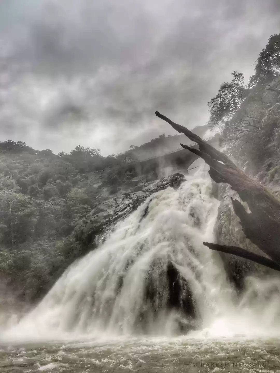 Photo of A Mesmerizing Trek t