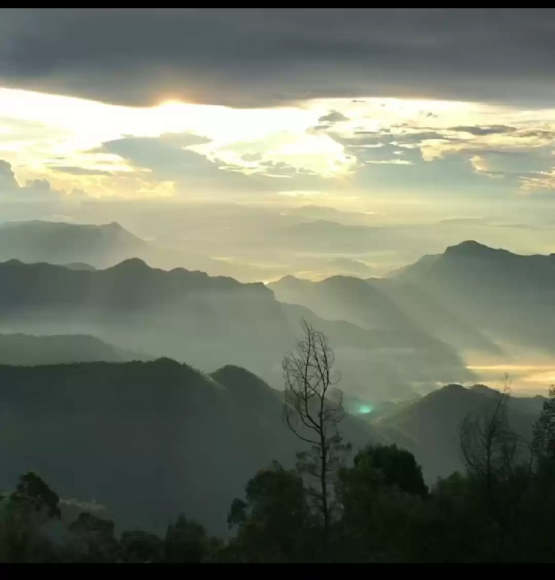 Photo of Kodaikanal - Everyth