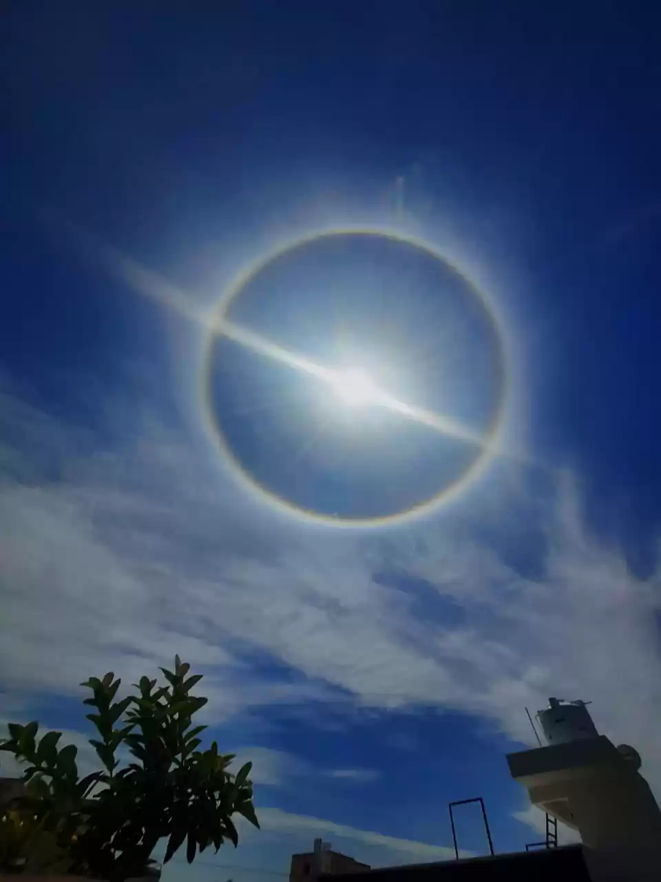This perfect circle around the sun.. : r/mildlyinteresting