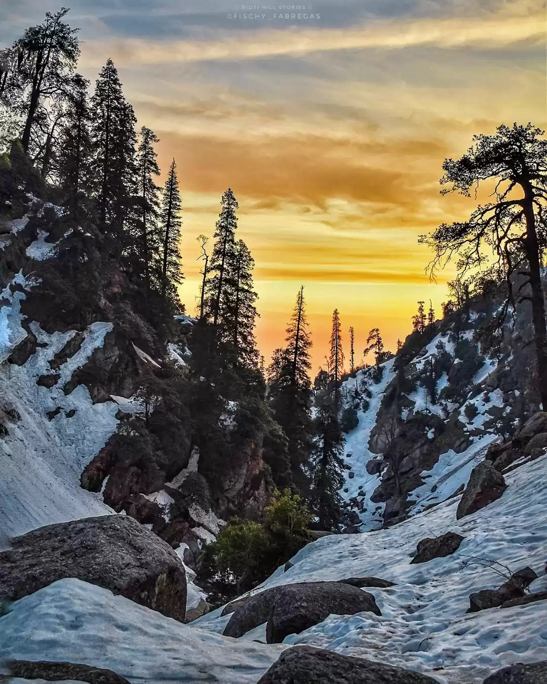 Photo of Being Nomad again fo