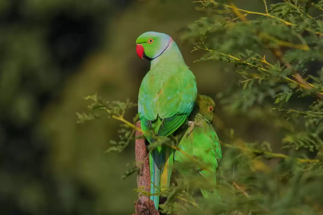 Photo of My journey to Bharat