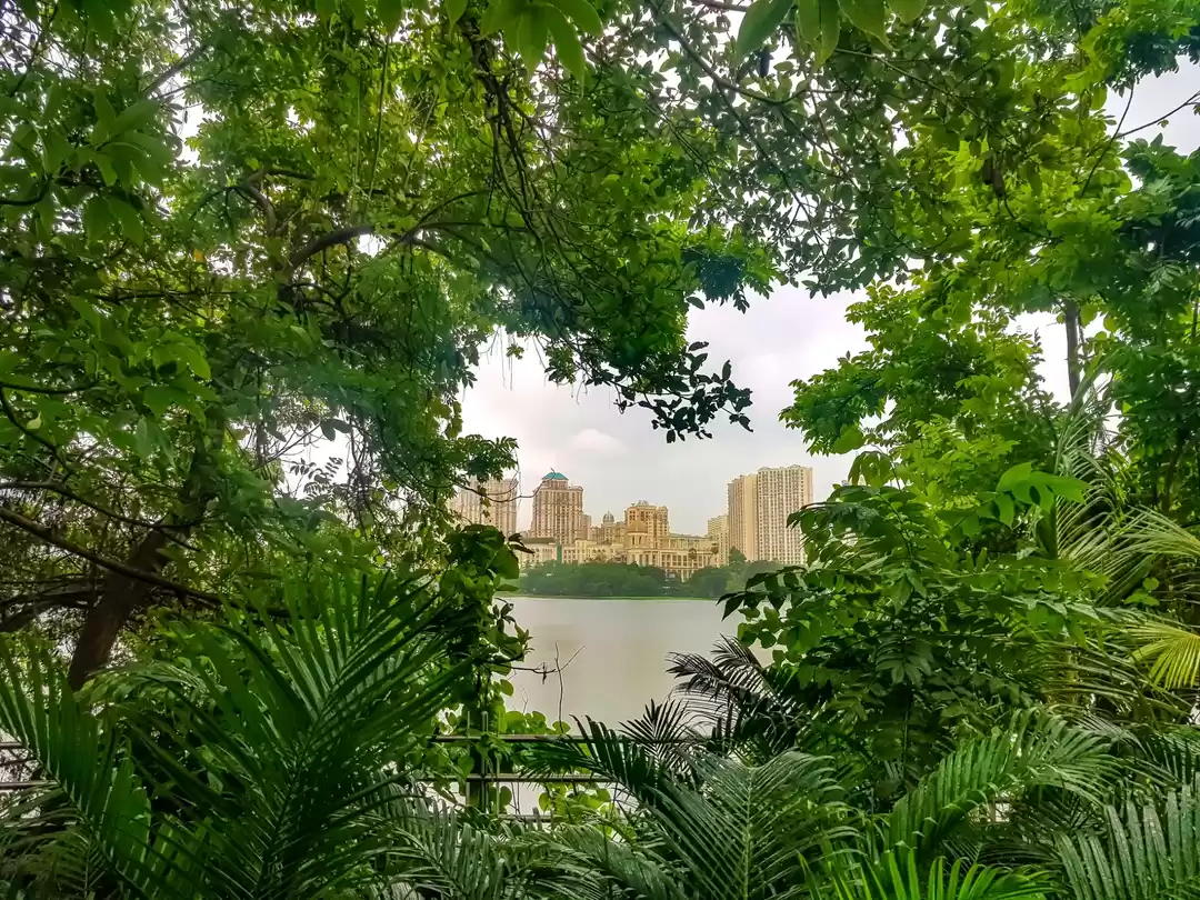 Photo of Powai.