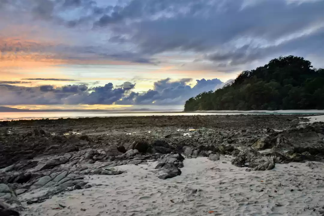 Photo of Astonishing Andaman 