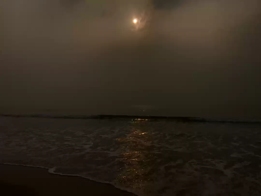 Photo of A day in chirala bea