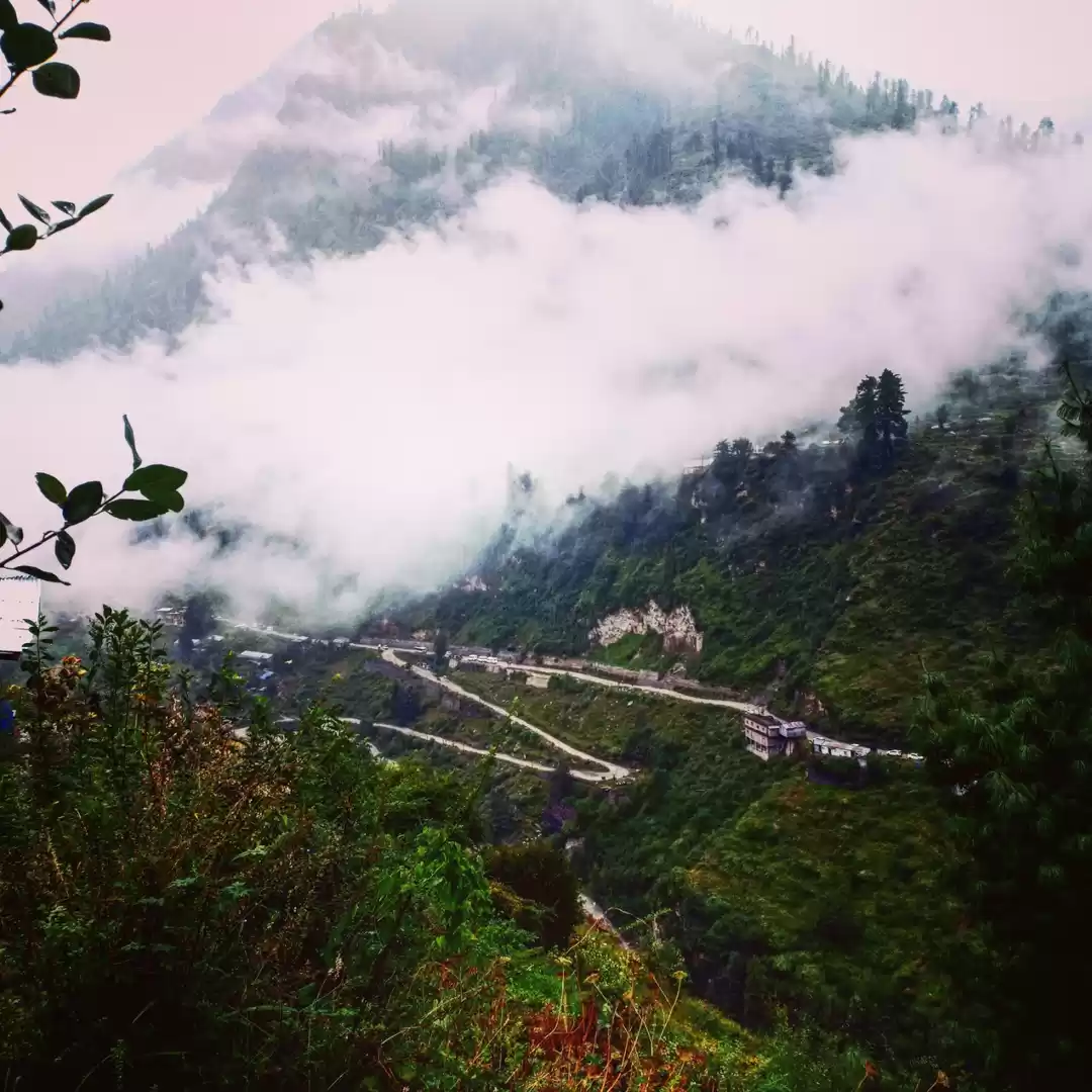 Photo of The magical little v