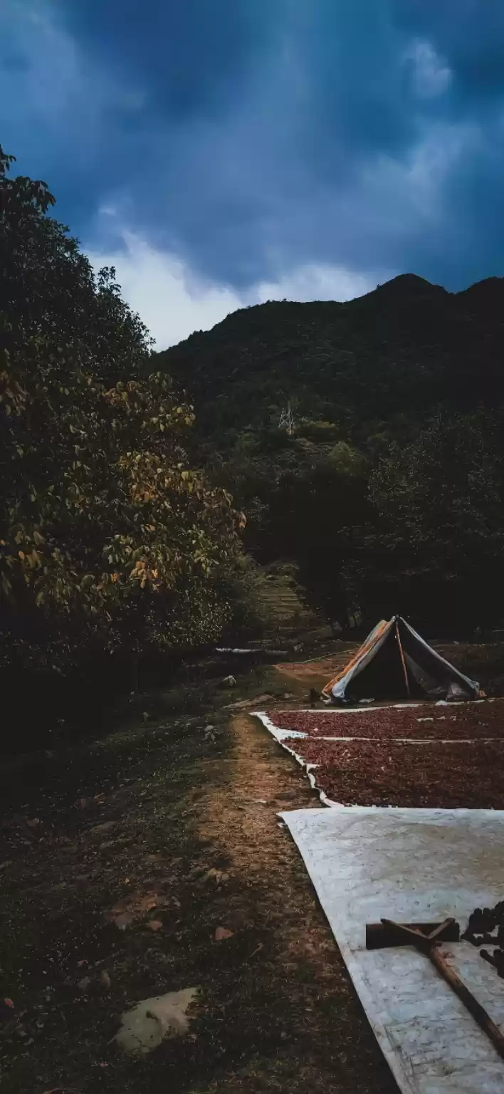 Photo of Exploring on a bicyc