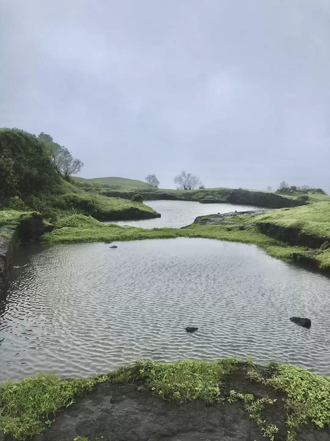 Photo of One of the best Mons