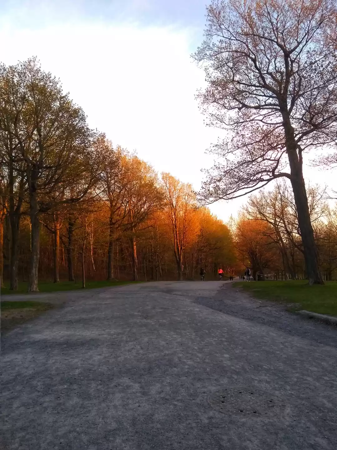 Photo of 6 places you must v