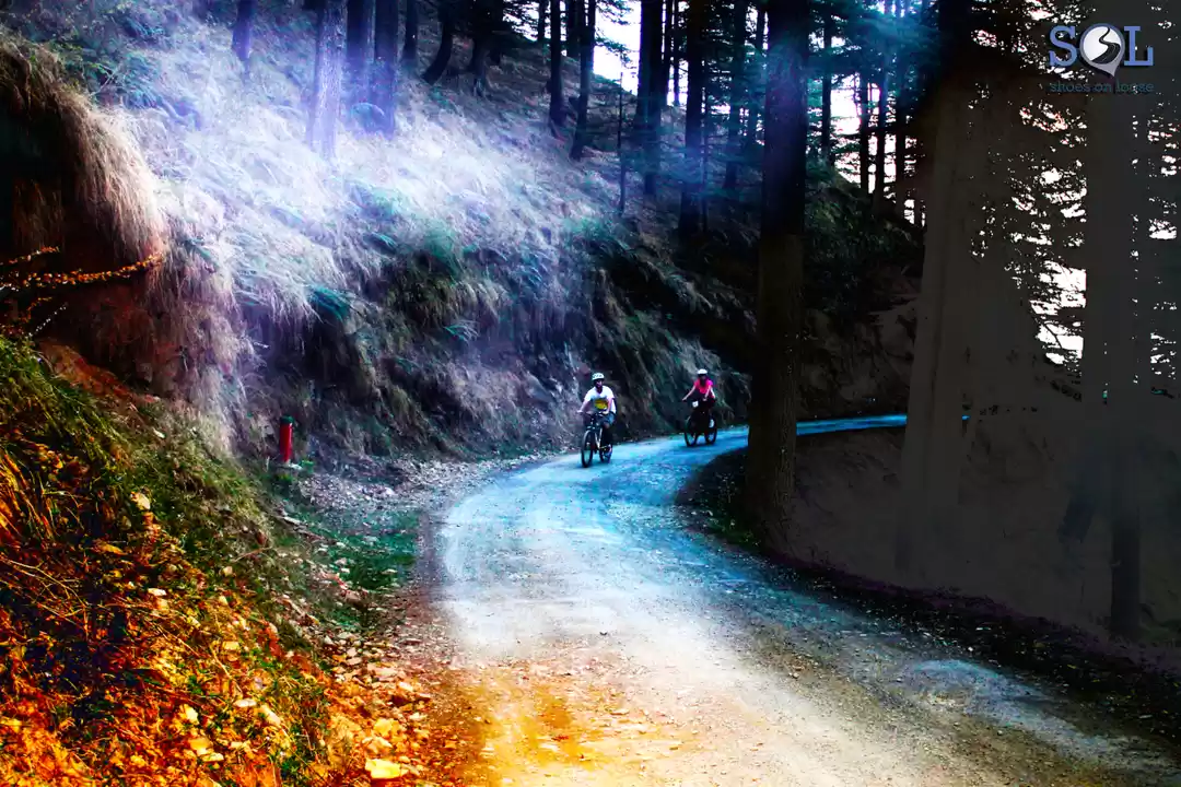 Photo of Rishikesh | The Land