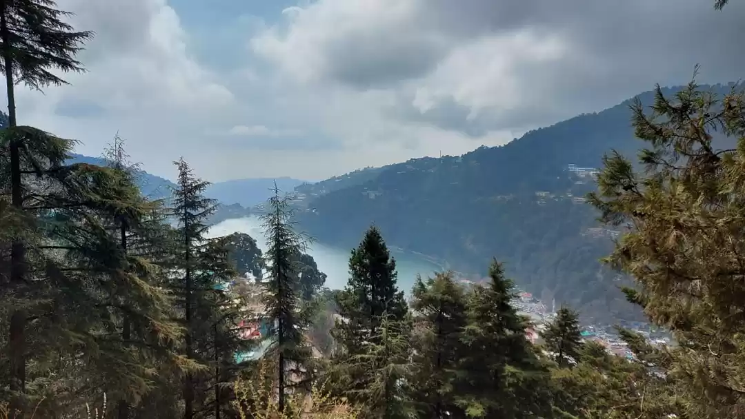 Photo of The Treasure Trove o