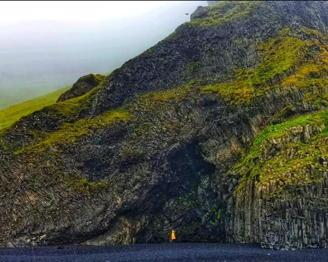 Photo of Girl in the Yellow J