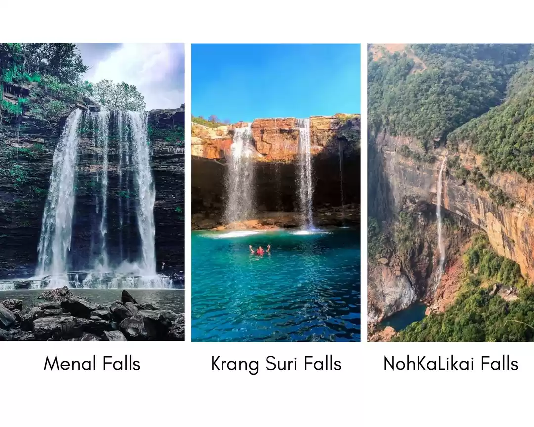 Photo of The Only Guide You N