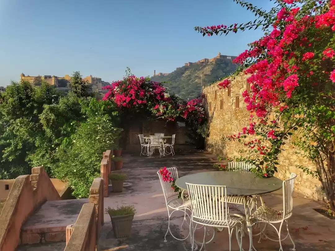 Photo of Heading to the Pink