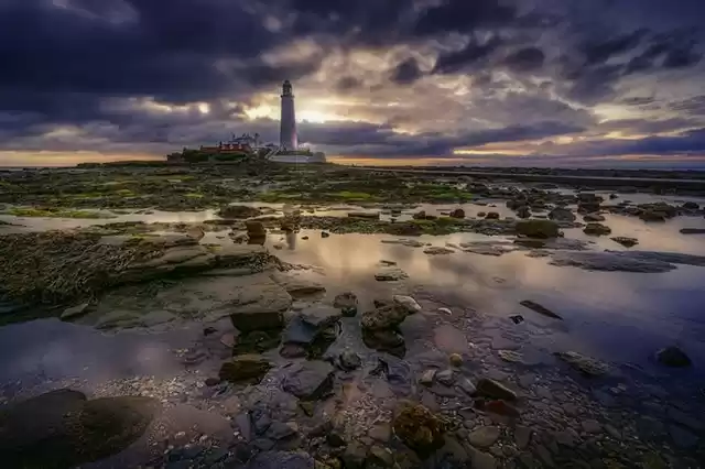 Photo of 5 ALTERNATIVE ADVENT