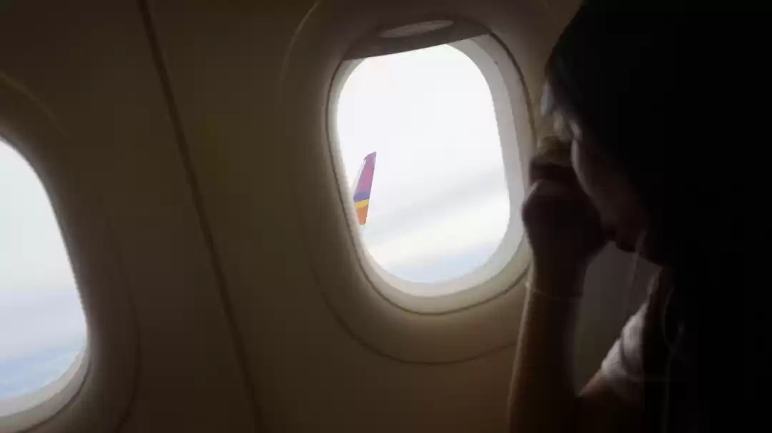 Photo of Amazing Trip