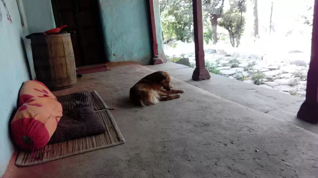 Photo of THE BALLU home stay