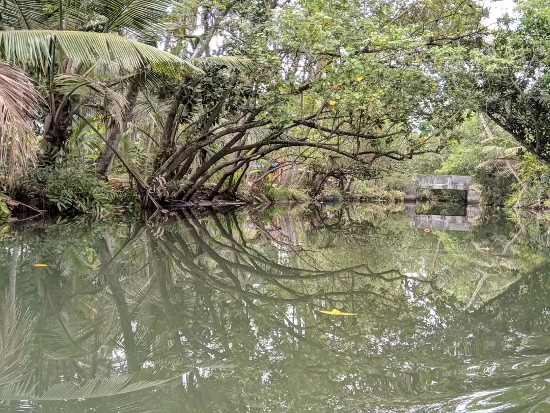 Photo of A day trip to Munroe