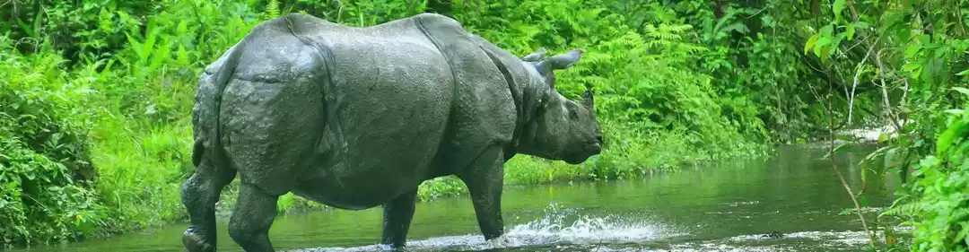 Photo of What are the Nationa