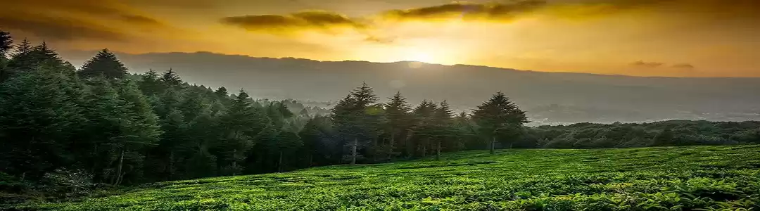 Photo of चंपावत की 7 खूबसूरत 