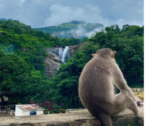 Photo of दक्षिण का काशी कहे ज