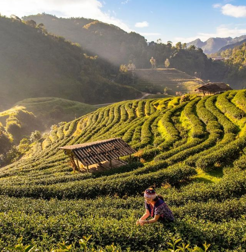 Photo of चकाचौंध-भीड़भाड़ से 