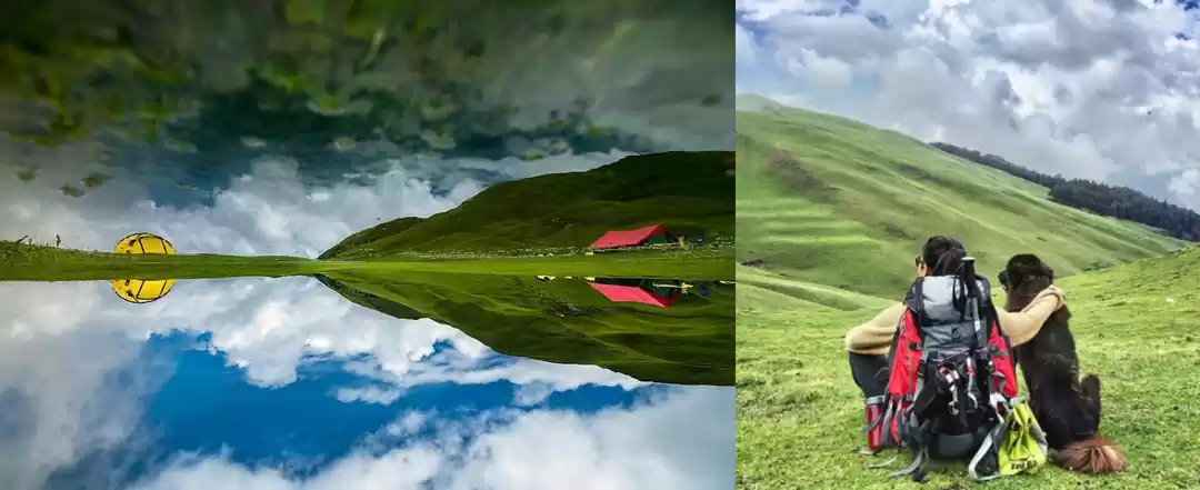 Photo of बेदनी बुग्याल: मखमली