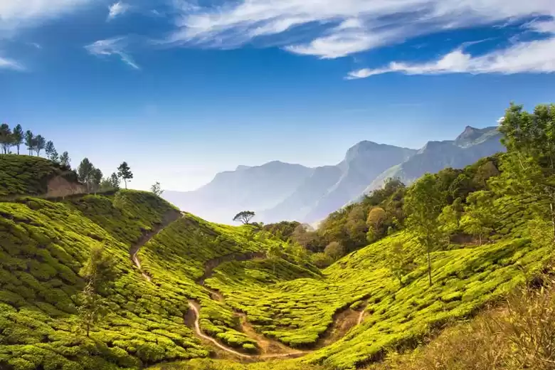 Photo of केरल की 7 छिपी हुई ज