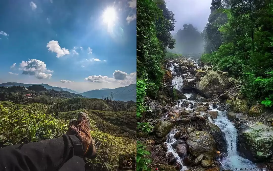 Photo of दार्जिलिंग से कुछ ही