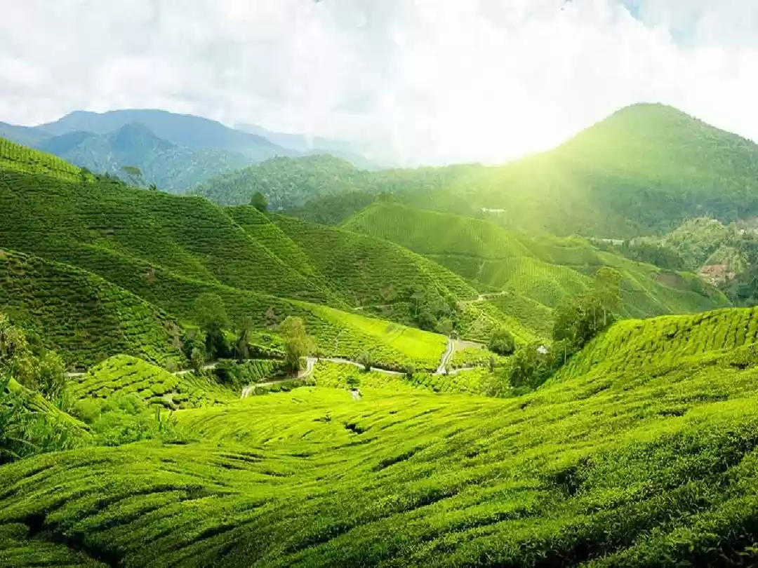 Photo of असम की असली खूबसूरती