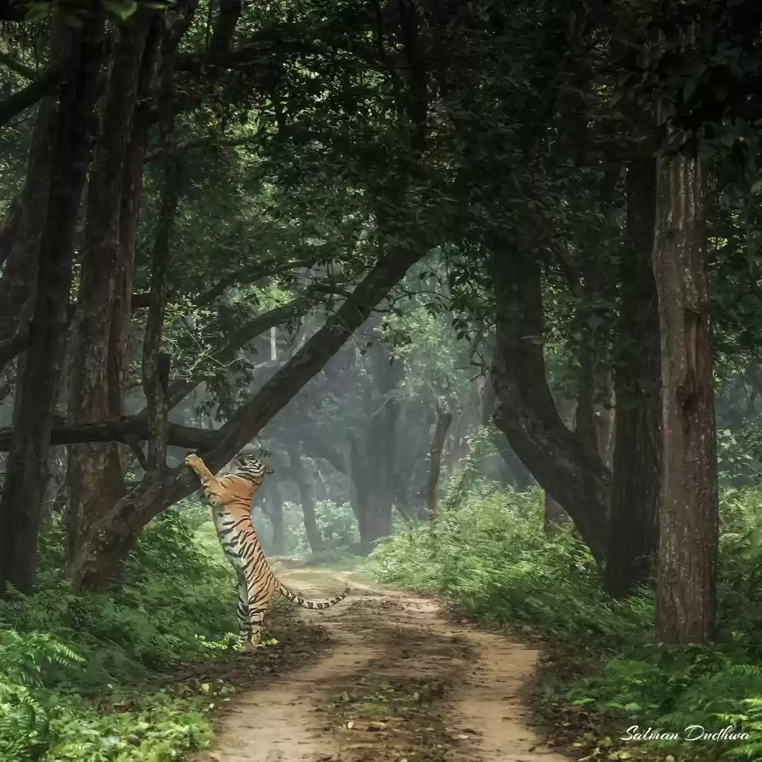 Photo of लखनऊ के पास में है य