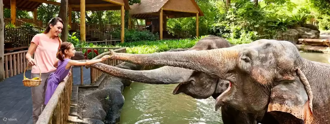 Photo of कम पैसों में फॉरेन ट