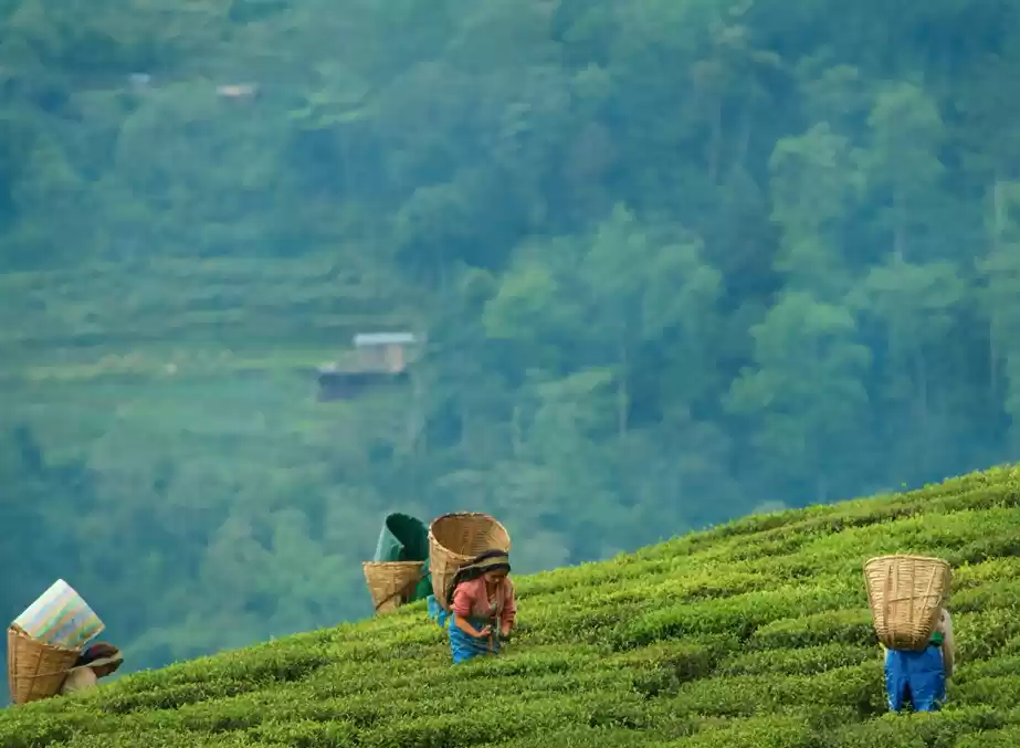 Photo of गंगटोक से कुछ ही दूर