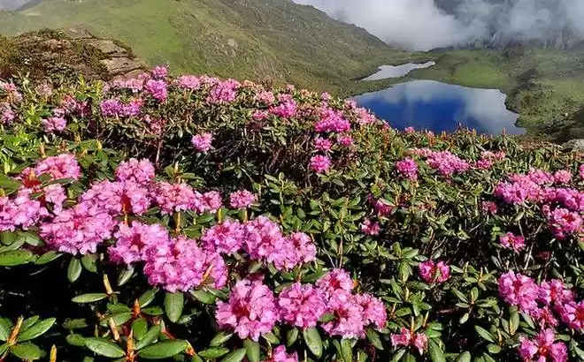 Photo of जोखू घाटी: कभी बंजर 