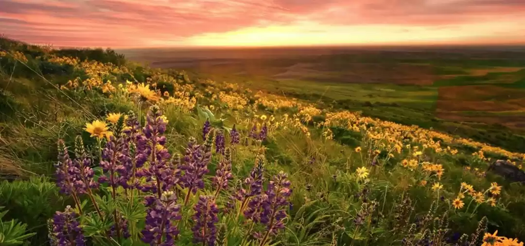 Photo of चेनाप घाटी: उत्तराखं