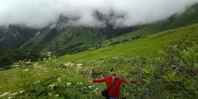 Photo of फूलों की घाटी: वो सफ