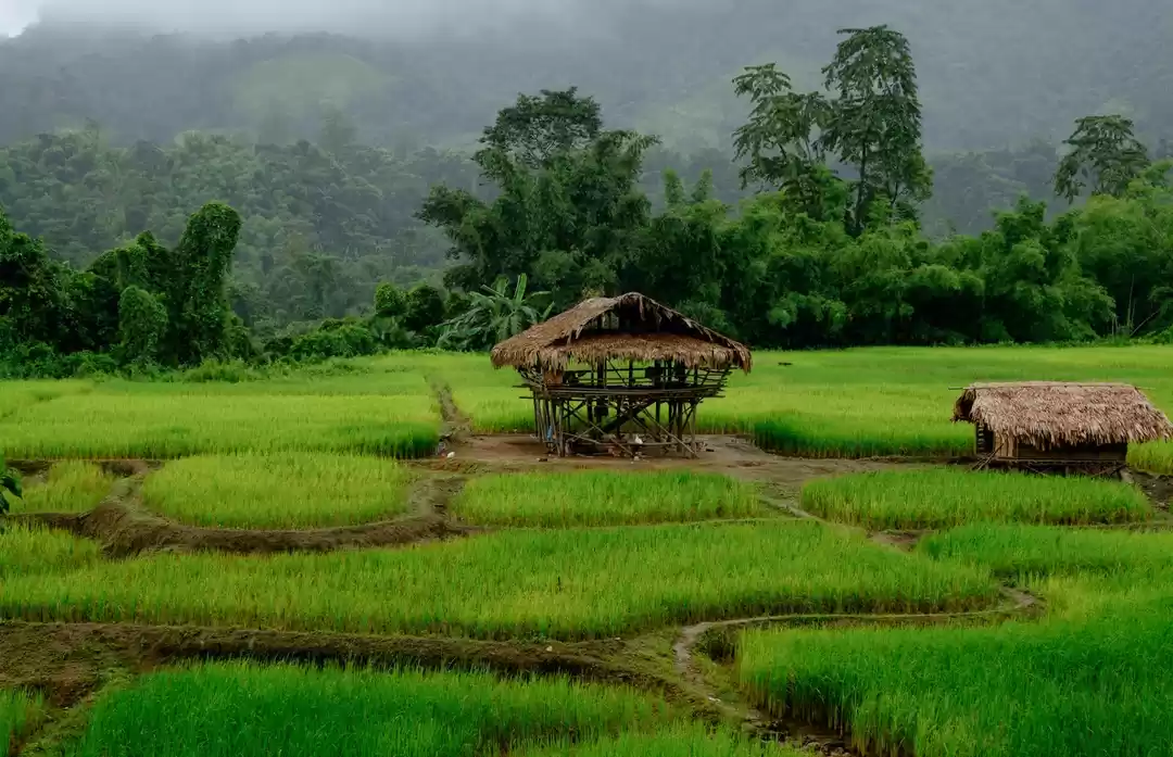 Photo of गूगल मैप पर न मिलने 