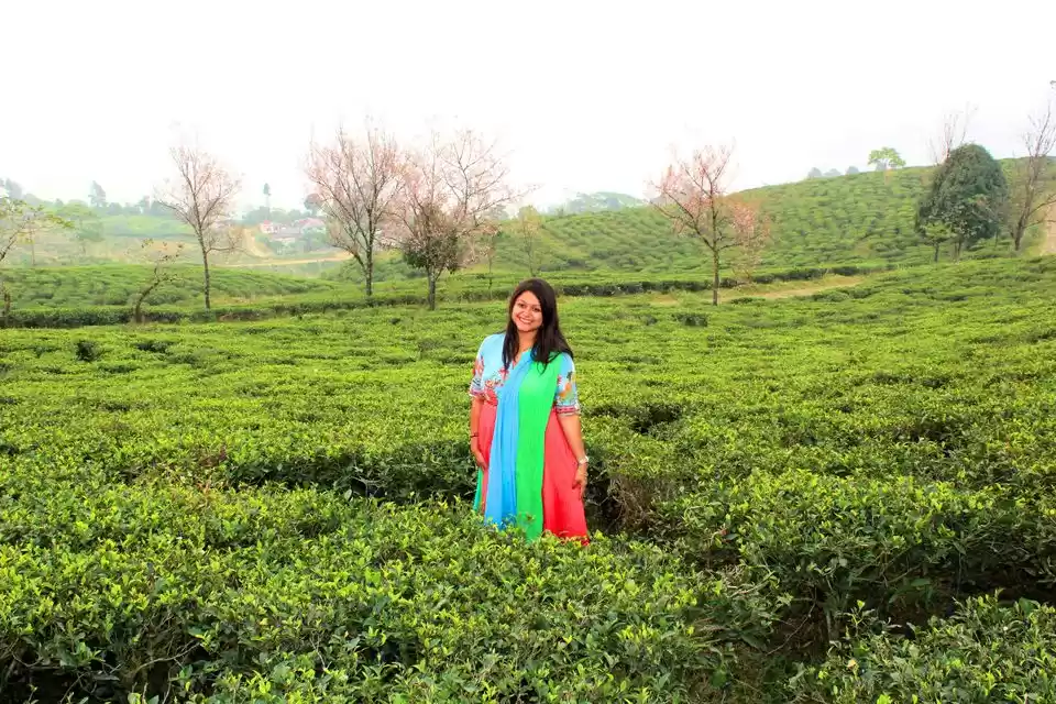 Photo of दार्जिलिंग-कलिम्पोंग