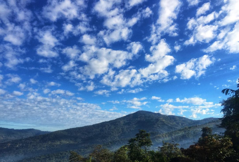 Photo of मोकोकचुंगः नागालैंड