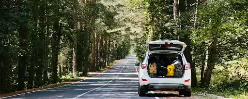 Photo of चेन्नई से मदुरई की र