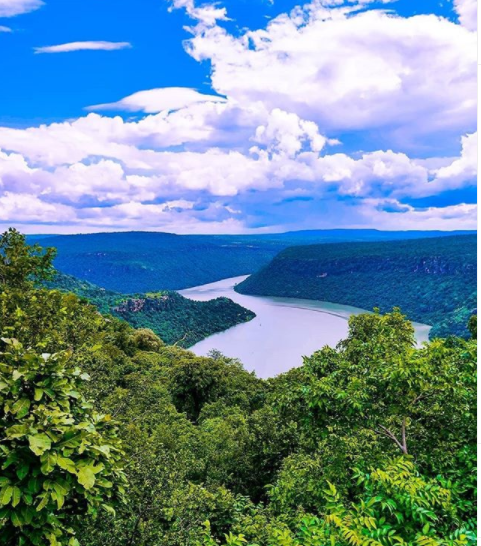 Photo of जो सोचते हैं कि बिहा