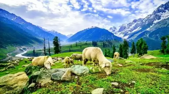 Photo of कश्मीर की ये ऑफबीट ज