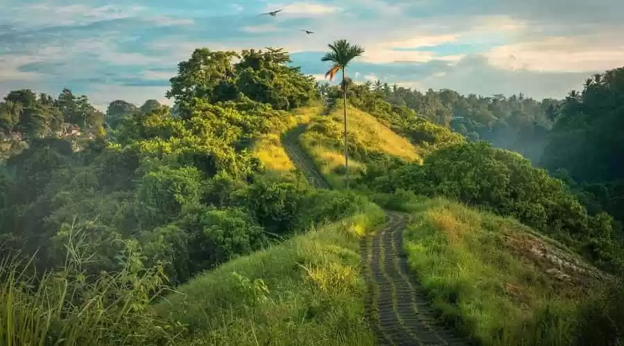 Photo of कमलपुर, त्रिपुरा: भा