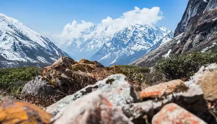 Photo of सर्दियों में बना रहे