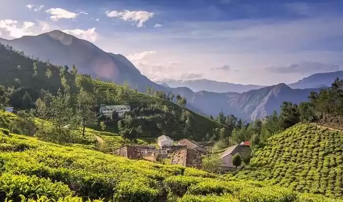 Photo of मुन्नार, एलेप्पी छोड़