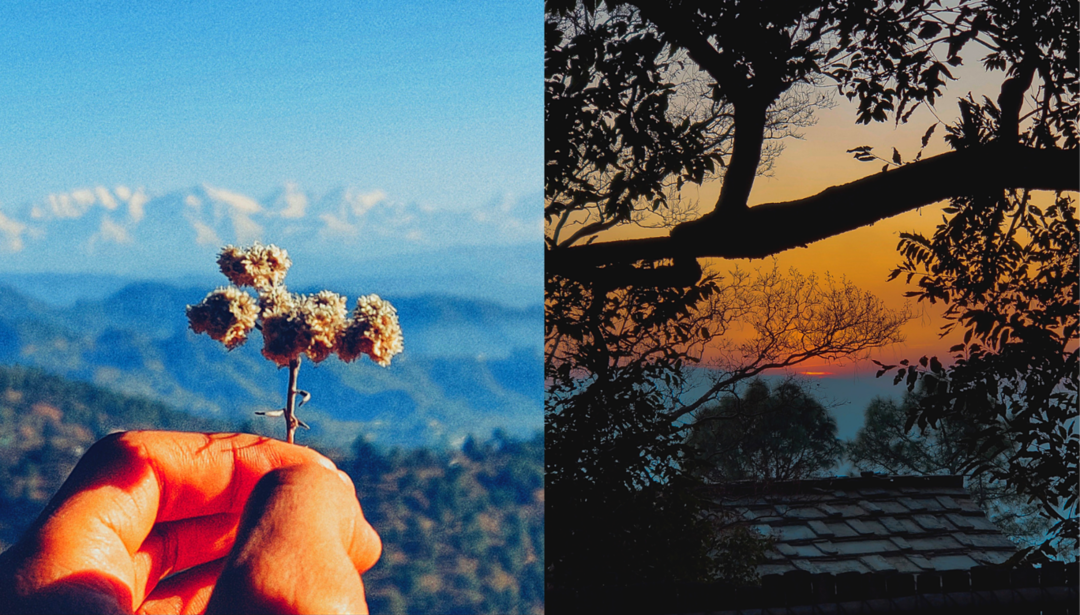 Photo of दिल्ली/चंडीगढ़ से गाड़