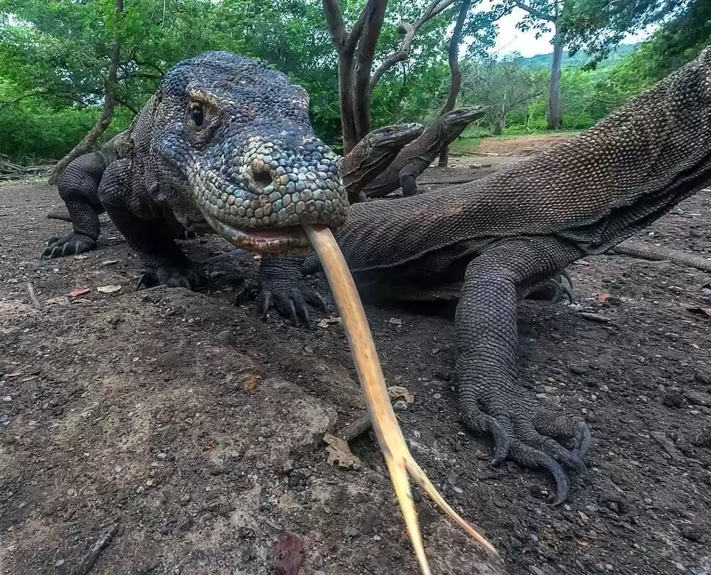 Photo of भारत में खुलने जा रह